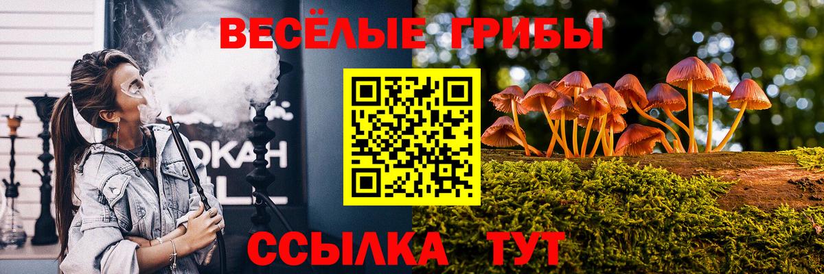 Шадринск  купить наркотик  Вход с VPN  Псилоцибиновые грибы прущие грибы 